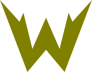 Wildtech Queenstown Logo