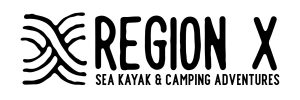Region X Logo