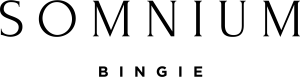 Somnium at Bingie Logo