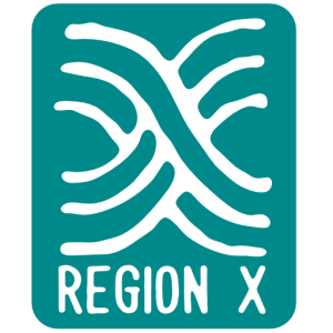 Region X – Sea Otter Penguin Island Paddle Logo